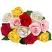 Choose a Rose Color